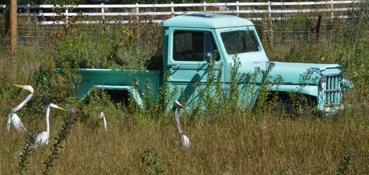 turquoise pickup truck